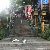 西公園の写真・動画_image_327618