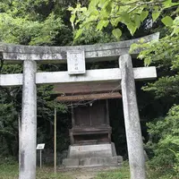 西公園の写真・動画_image_327619