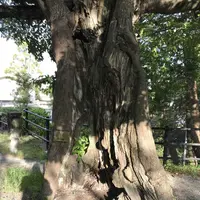 西公園の写真・動画_image_327621