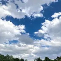 宮丘公園の写真・動画_image_328002