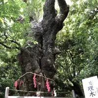 城山八幡宮の写真・動画_image_328013
