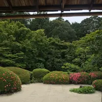 詩仙堂丈山寺の写真・動画_image_328306