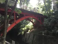 等々力渓谷の写真・動画_image_328860