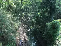 等々力渓谷の写真・動画_image_328861