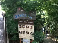 等々力渓谷の写真・動画_image_328863