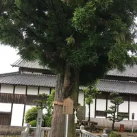 各務の舞台（村国座）の写真・動画_image_329543