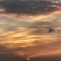 奄美市大浜海浜公園の写真・動画_image_329849
