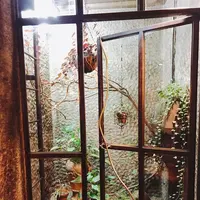 COFFEE HALL くぐつ草の写真・動画_image_329857