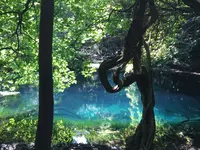 丸池様の写真・動画_image_329972