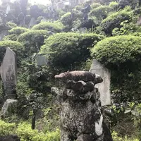 半僧坊の写真・動画_image_330152