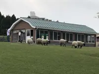 高千穂牧場の写真・動画_image_330202