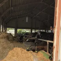 高千穂牧場の写真・動画_image_330205