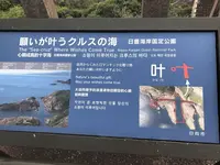 クルスの海の写真・動画_image_330220