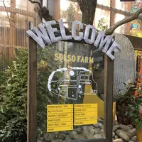 ソルソファームの写真・動画_image_330285