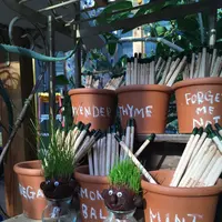 ソルソファームの写真・動画_image_330286