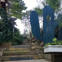 ソルソファームの写真・動画_image_330287