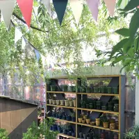 ソルソファームの写真・動画_image_330289