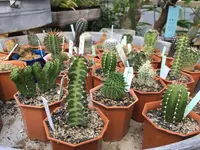 ソルソファームの写真・動画_image_330292