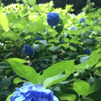 六義園の写真・動画_image_330360