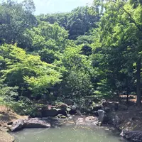 六義園の写真・動画_image_330365