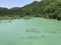 玉川ダムの写真・動画_image_330407