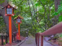 等々力渓谷の写真・動画_image_330476