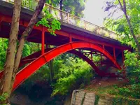 等々力渓谷の写真・動画_image_330483