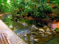 等々力渓谷の写真・動画_image_330484