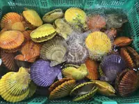 道の駅・海の駅 宇土マリーナの写真・動画_image_330497