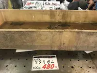 道の駅・海の駅 宇土マリーナの写真・動画_image_330499