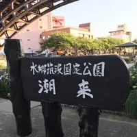 水郷潮来あやめ園の写真・動画_image_330569