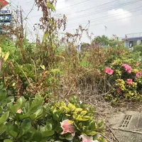 大野屋の写真・動画_image_330878