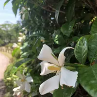 高麗山聖天院 正門の写真・動画_image_331614