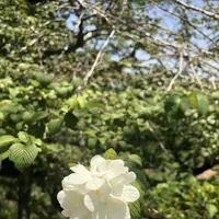 高麗山聖天院 正門の写真・動画_image_331615