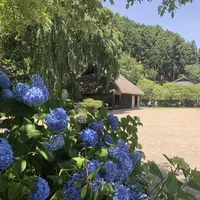 高麗家住宅の写真・動画_image_331629