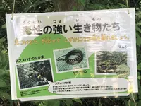 トーベ・ヤンソンあけぼの子どもの森公園の写真・動画_image_331676
