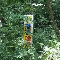トーベ・ヤンソンあけぼの子どもの森公園の写真・動画_image_331679