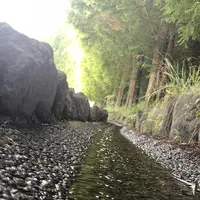 トーベ・ヤンソンあけぼの子どもの森公園の写真・動画_image_331697