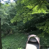 トーベ・ヤンソンあけぼの子どもの森公園の写真・動画_image_331730