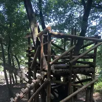 トーベ・ヤンソンあけぼの子どもの森公園の写真・動画_image_331738