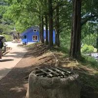 トーベ・ヤンソンあけぼの子どもの森公園の写真・動画_image_331746