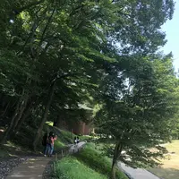 トーベ・ヤンソンあけぼの子どもの森公園の写真・動画_image_331753