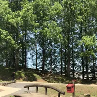 トーベ・ヤンソンあけぼの子どもの森公園の写真・動画_image_331756
