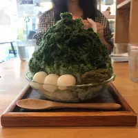 おちゃのこの写真・動画_image_331760