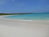 渡口の浜の写真・動画_image_331770