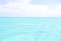 百合ヶ浜の写真・動画_image_331852