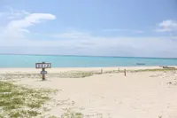 百合ヶ浜の写真・動画_image_331853