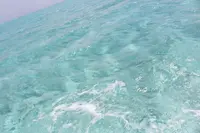 百合ヶ浜の写真・動画_image_331855