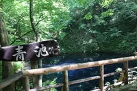 青池の写真・動画_image_331861