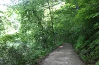 青池の写真・動画_image_331862